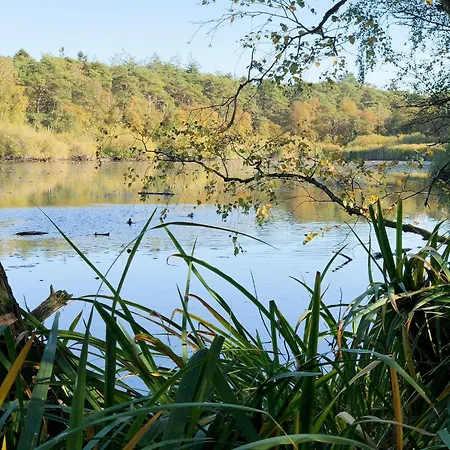 Urlaub Mit Spektakulaerer Aussicht Auf Wattenmeer