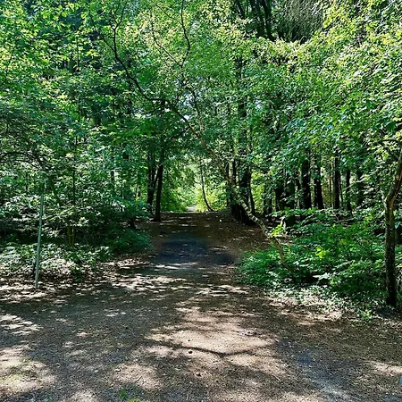 Urlaub Mit Spektakulaerer Aussicht Auf Wattenmeer Appartamento *